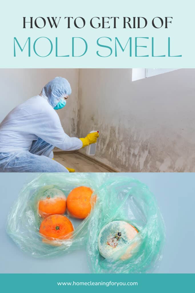 How To Get Rid Of Mold Smell
