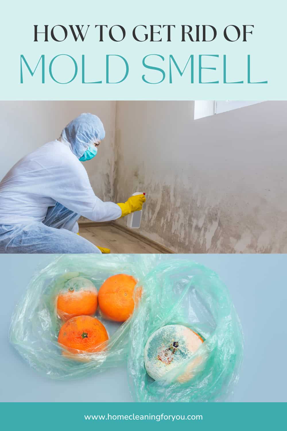 How To Get Rid Of Mold Smell MustKnow Guidelines