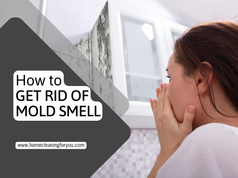 How To Get Rid Of Mold Smell