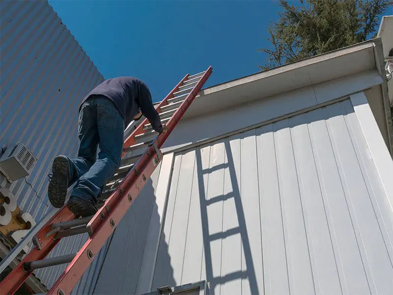 Worker By Ladder Work