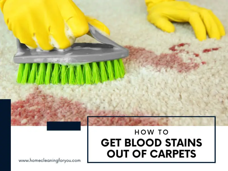 How To Get Blood Stains Out Of Carpets