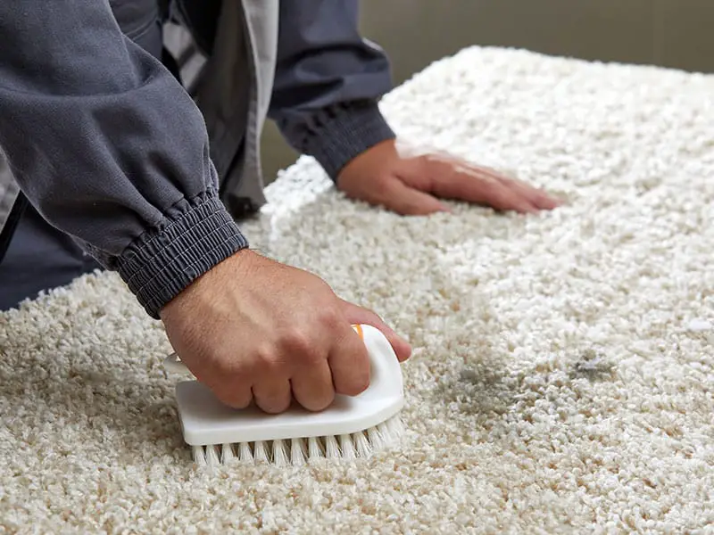 How To Use Shop Vac To Clean Carpet Best Guide 2021