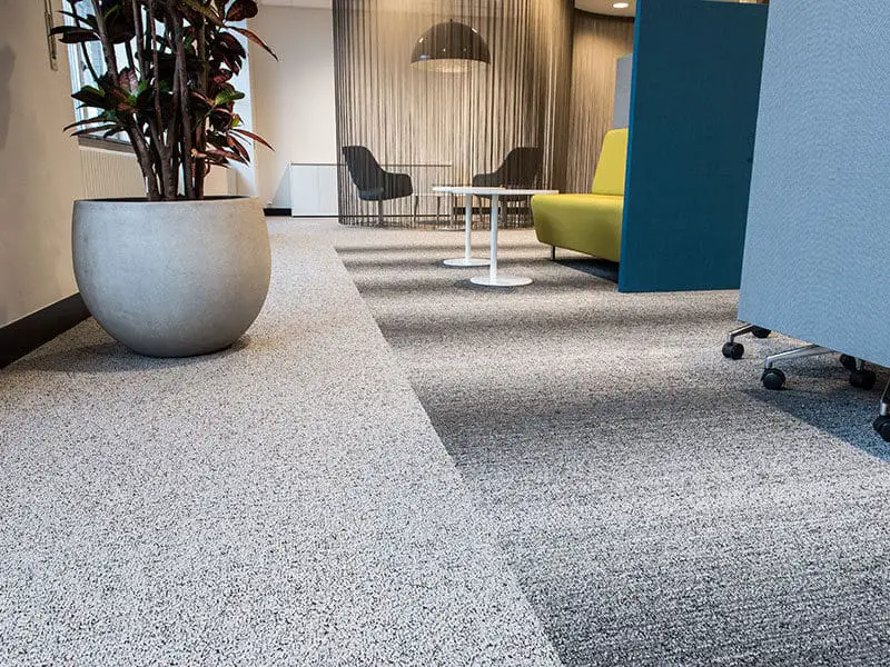 Stainmaster Carpets in Office