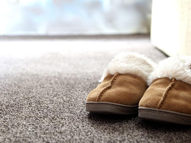 Suede Slippers on Carpet