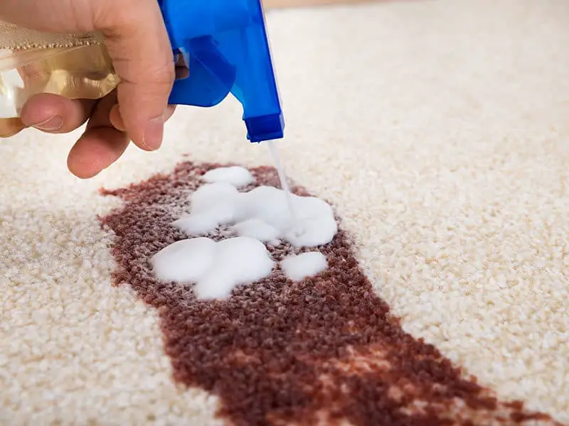 Make Clean Carpet