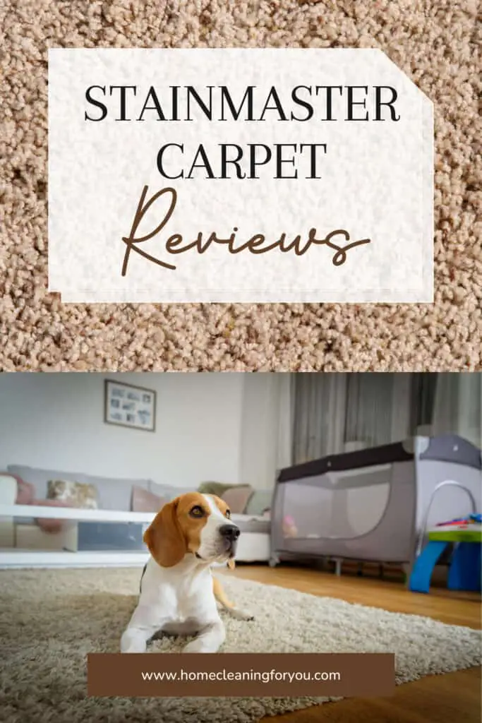 Stainmaster Carpet