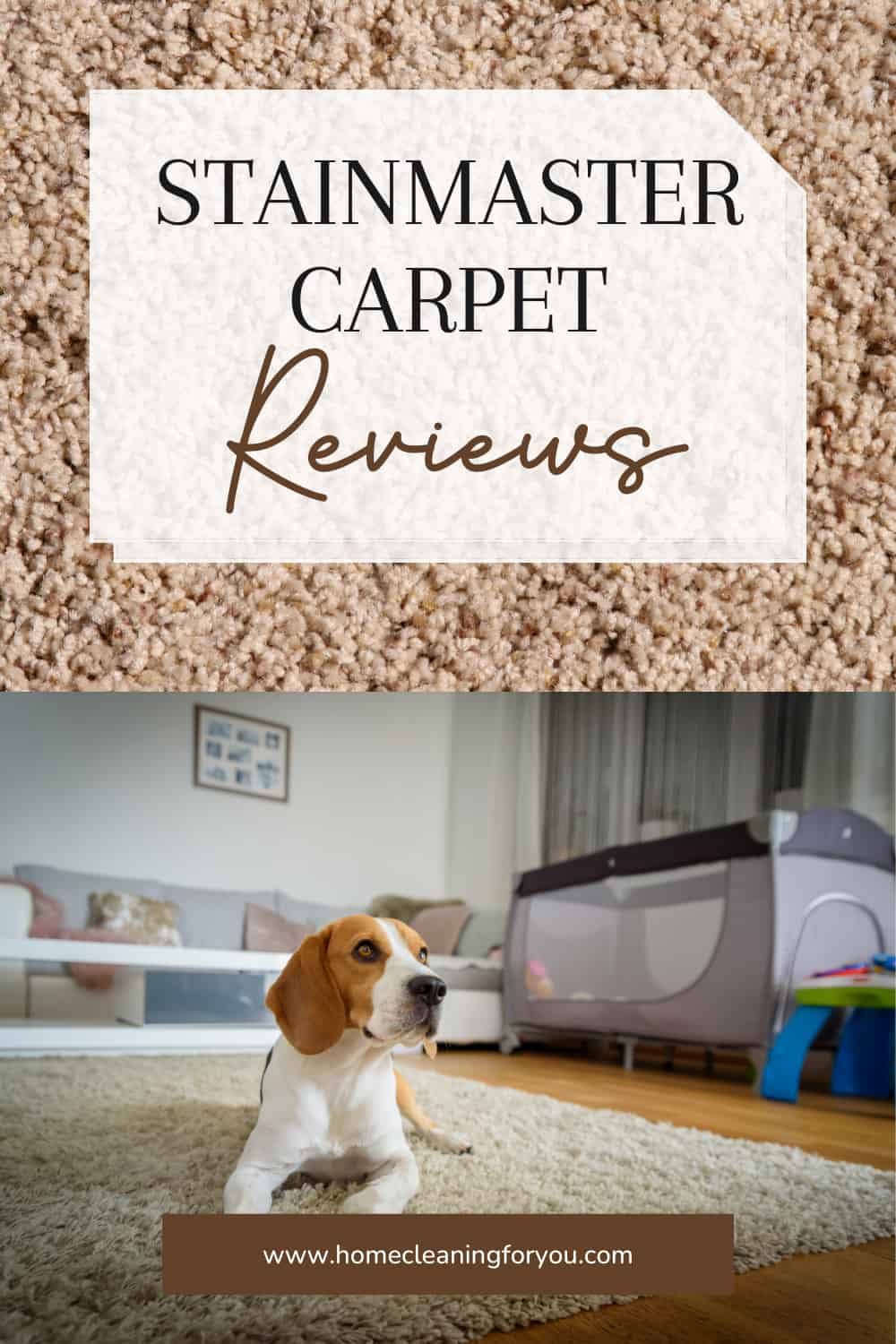 Stainmaster Carpet Reviews Best Carpets In 2024?