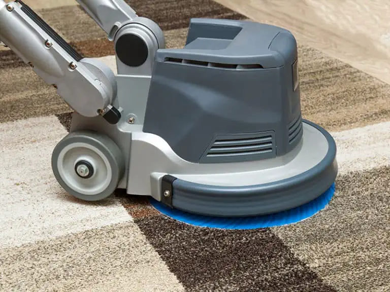 How Much Does Carpet Cleaning Cost? Cleaning Tips 2024