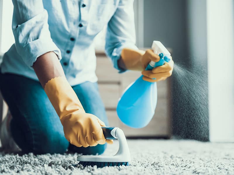 Cleaning Carpet Brush