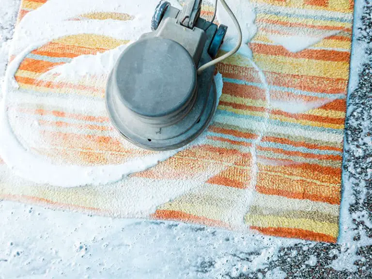 How Much Does Carpet Cleaning Cost? Cleaning Tips 2024