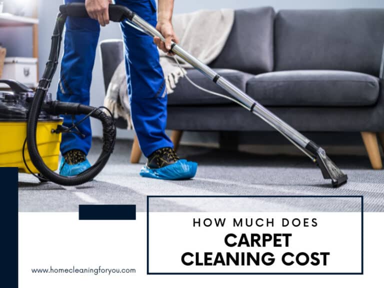 How Much Does Carpet Cleaning Cost