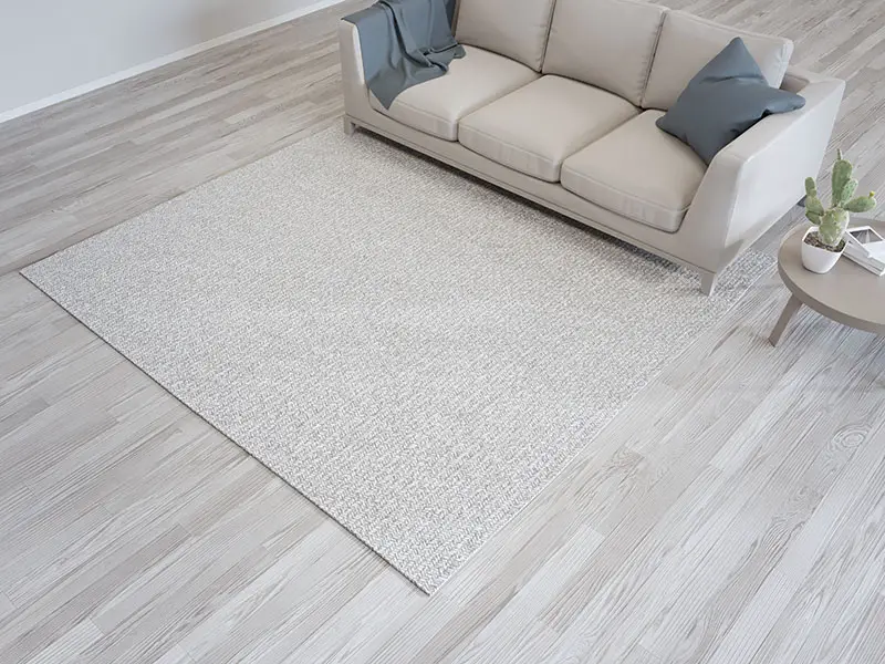 Carpet Sofa