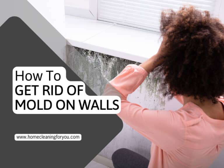 How To Get Rid Of Mold On Walls