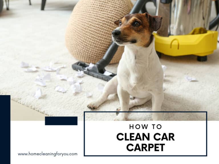 How To Clean Car Carpet