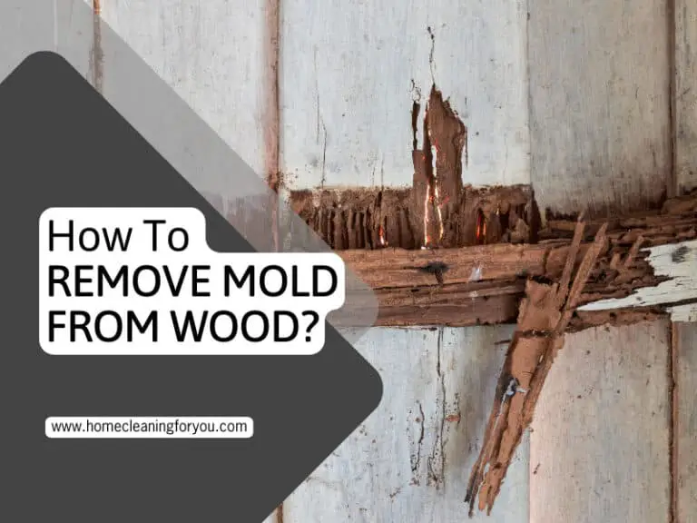 How To Remove Mold From Wood?