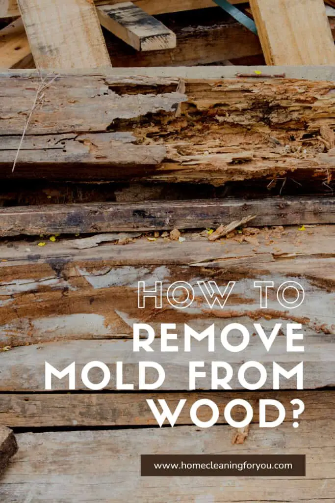 How To Remove Mold From Wood