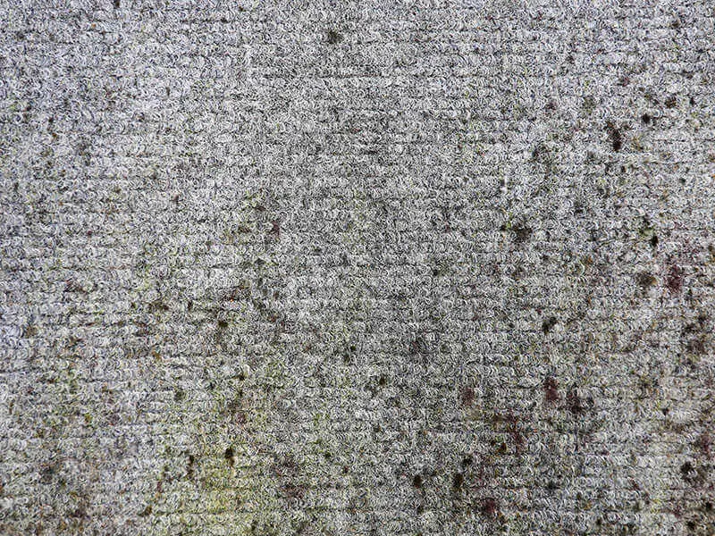 Old Carpet Texture