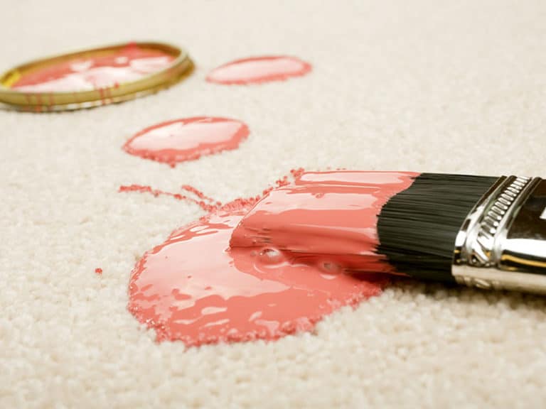 How To Clean Paint Out Of Carpet MustKnow Tips of 2024