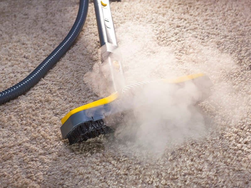 Steam Cleaner In Action