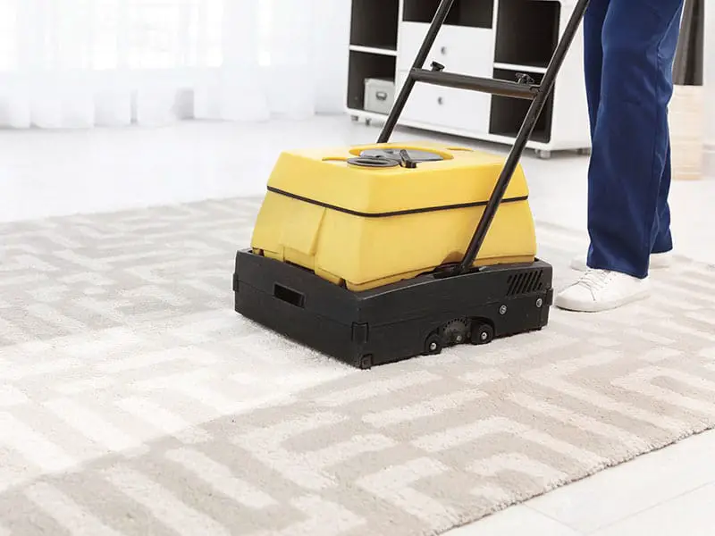 Carpet Cleaner Indoors