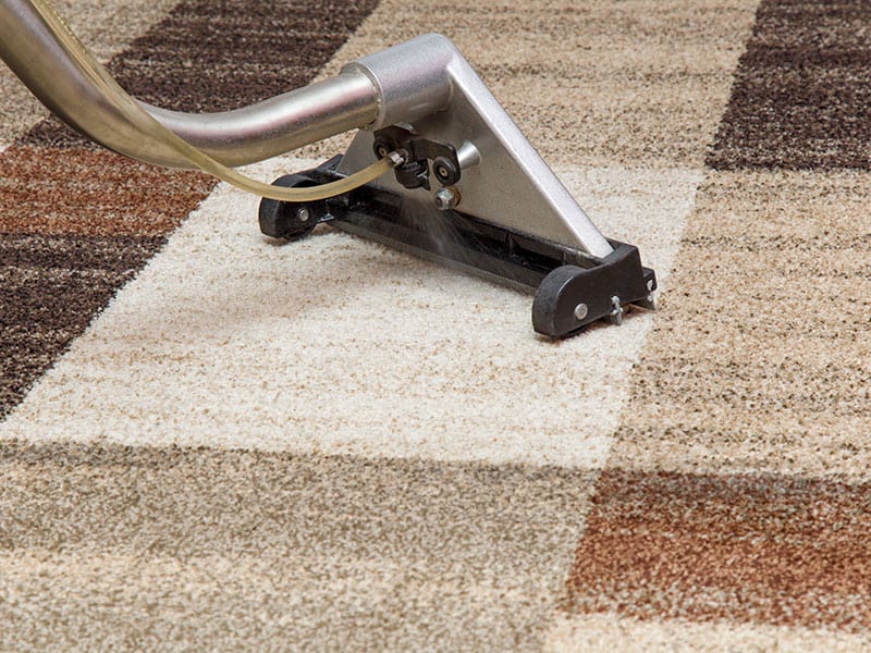 Carpets Chemical Cleaning