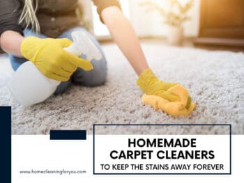 Diy Carpet Cleaners