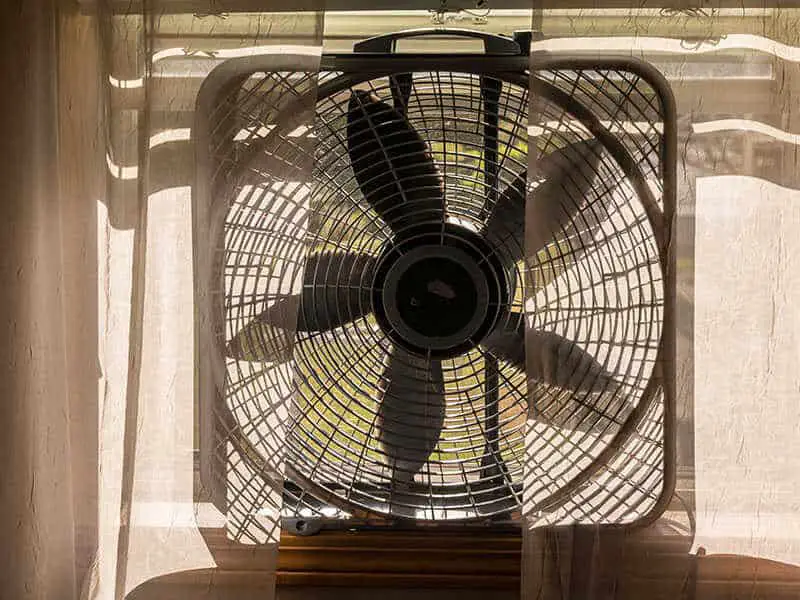 Electric Box Fan Sitting