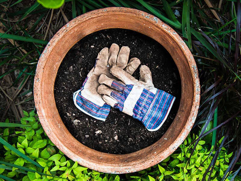 Garden Gloves Plant Pot