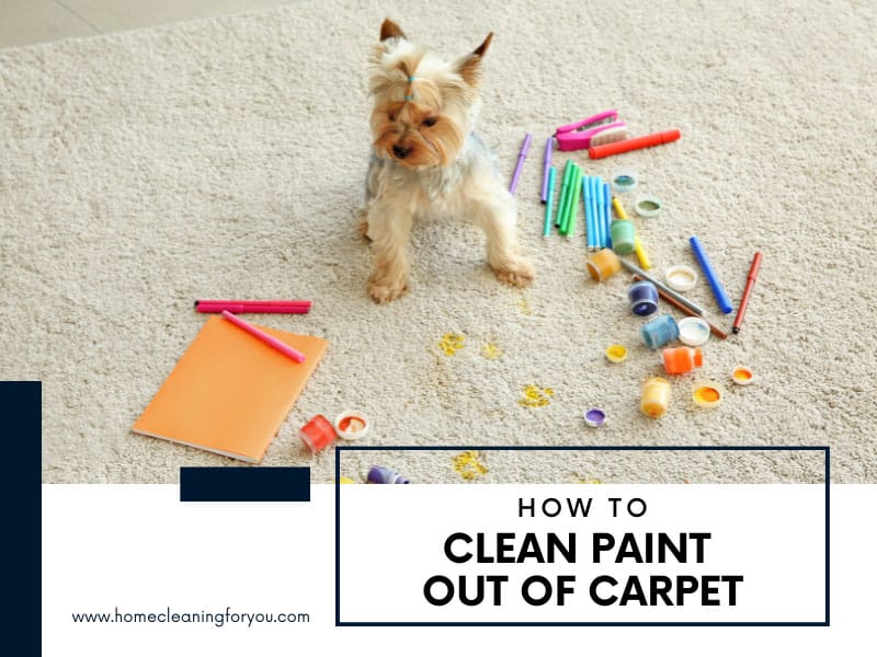 How To Clean Paint Out Of Carpet