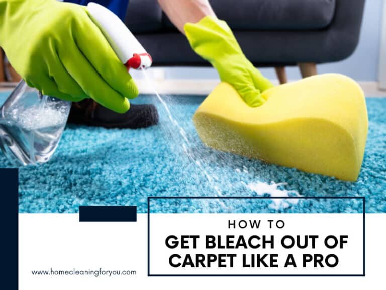 How To Get Bleach Out of Carpet Like A Pro 2024