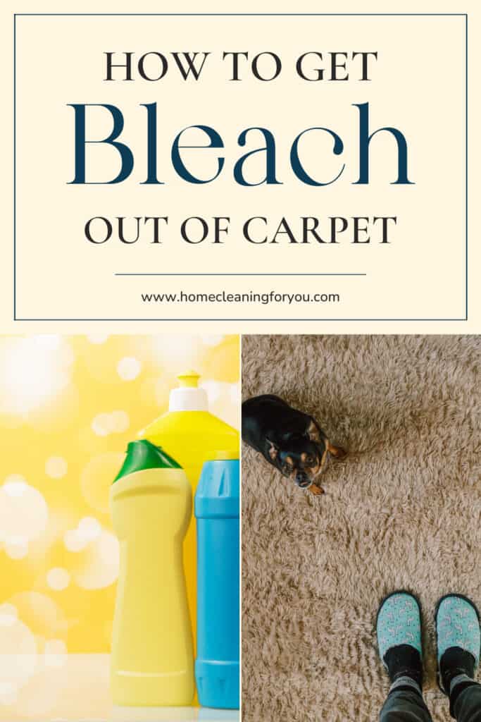 How To Get Bleach Out Of Carpet