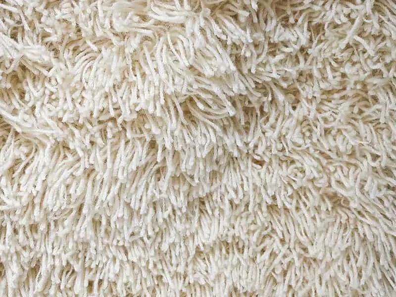 Plush Carpet