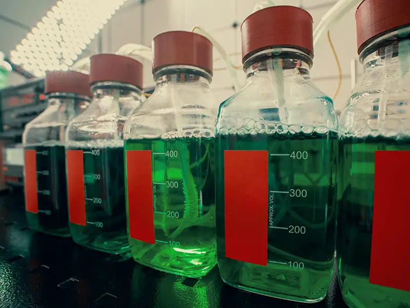 Setup Enzymatic Synthesis