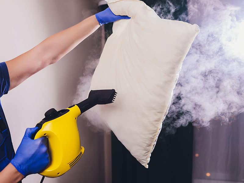 Steam Cleaner Sanitize Pillow