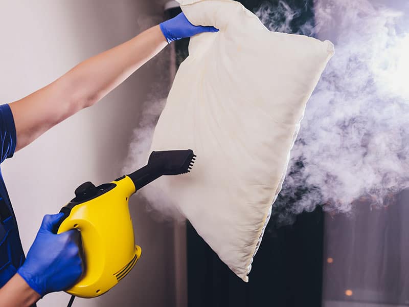 Steam Cleaner Sanitize Pillow