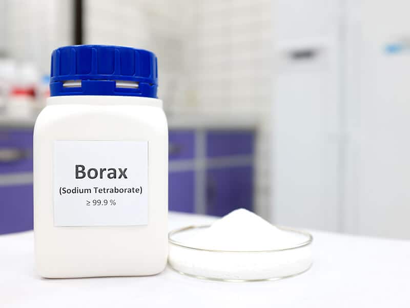 Borax Clean Molds