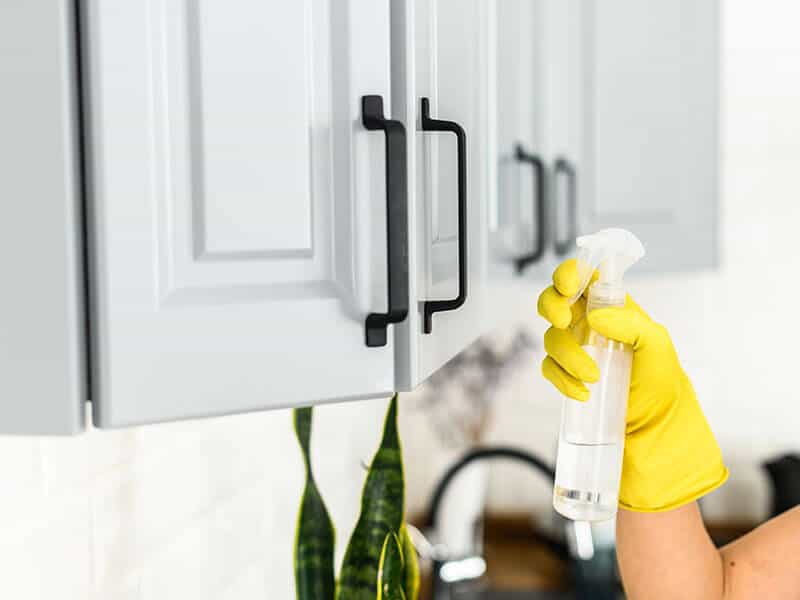 Cleaning Routine Cabinets