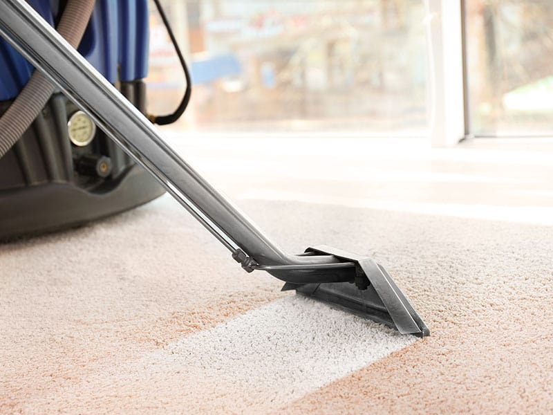 Cleaning The Carpet By Vacuum