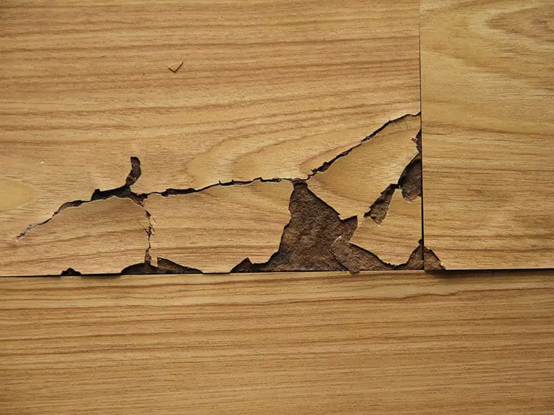 Delamination Damage Laminate Floor