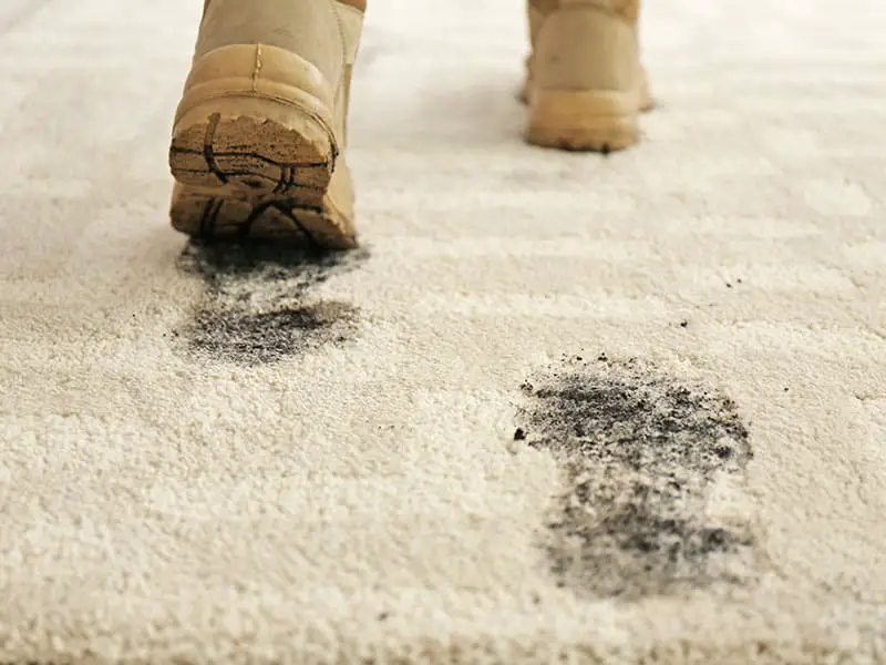 Dirty Shoes Footprints On Carpet