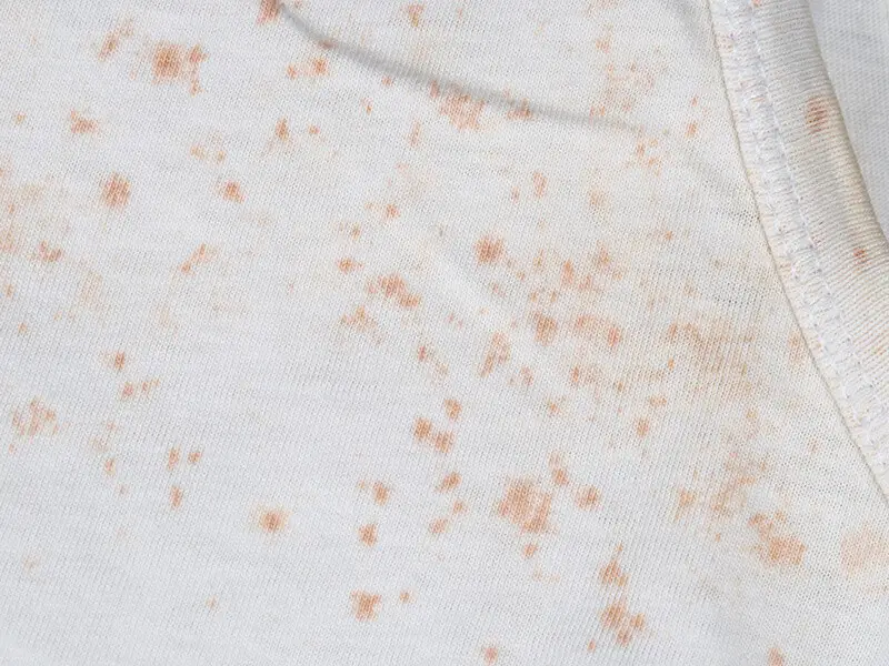 Fungus on Clothes