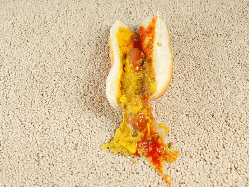 Hot Dogs on The Carpet