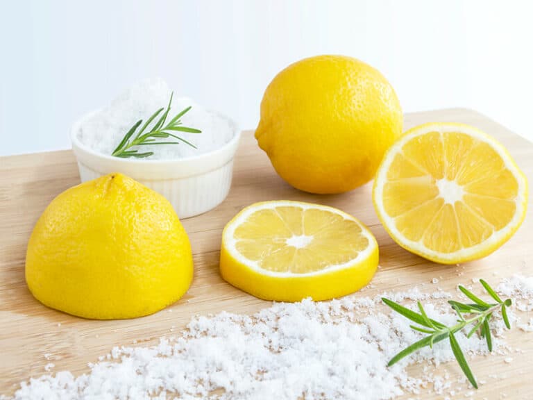 How To Get Mold Out Of Clothes 100 Spotless Guide 2024