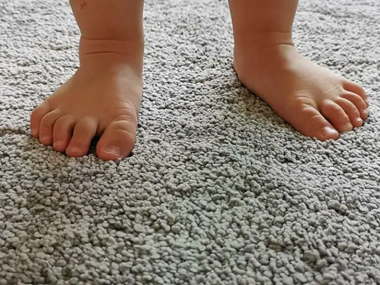 Low vs. Medium vs. High Pile Carpet Learn The Difference 2024