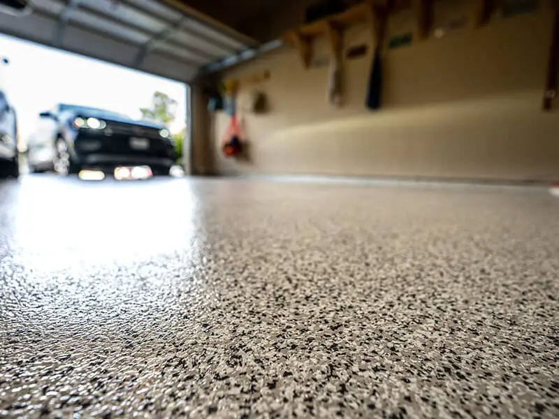 Maggots on Garage Floor