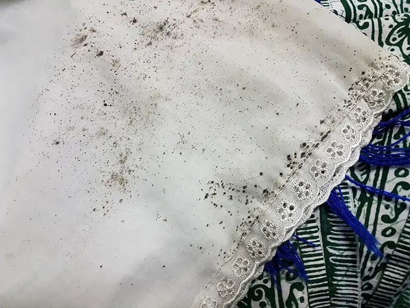 Molds stains on clothes