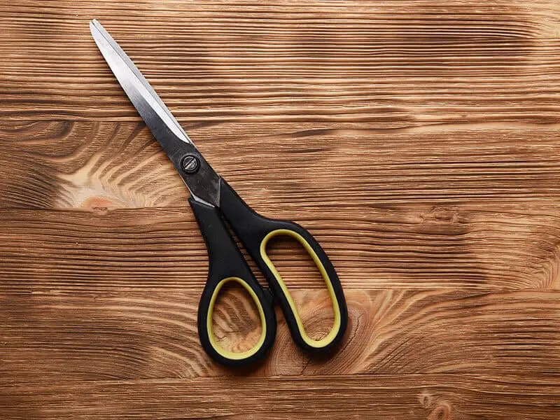 Pair Scissors