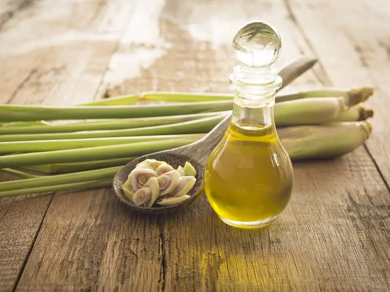 Refreshing Smell From Lemongrass Oil