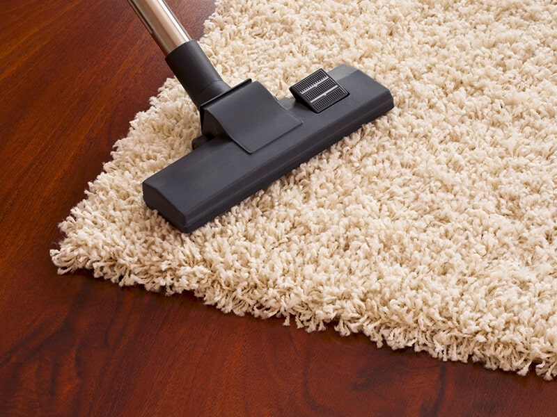 Restore Carpet Fibers