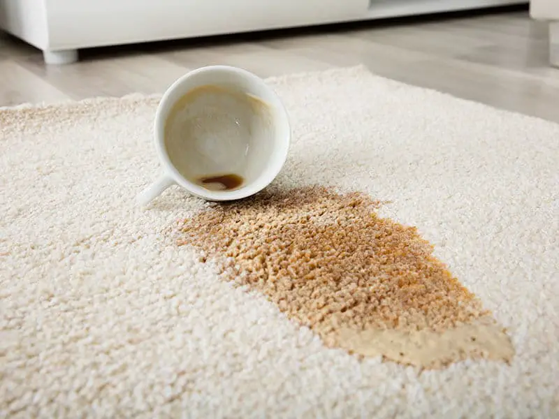 Stainmaster Carpets